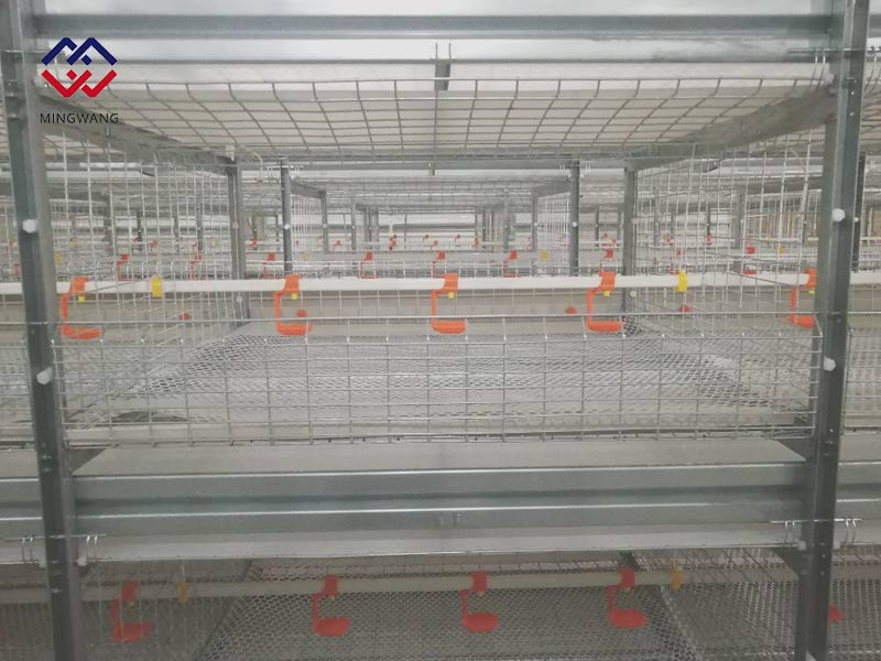 養(yǎng)雞怎樣選擇肉雞籠？