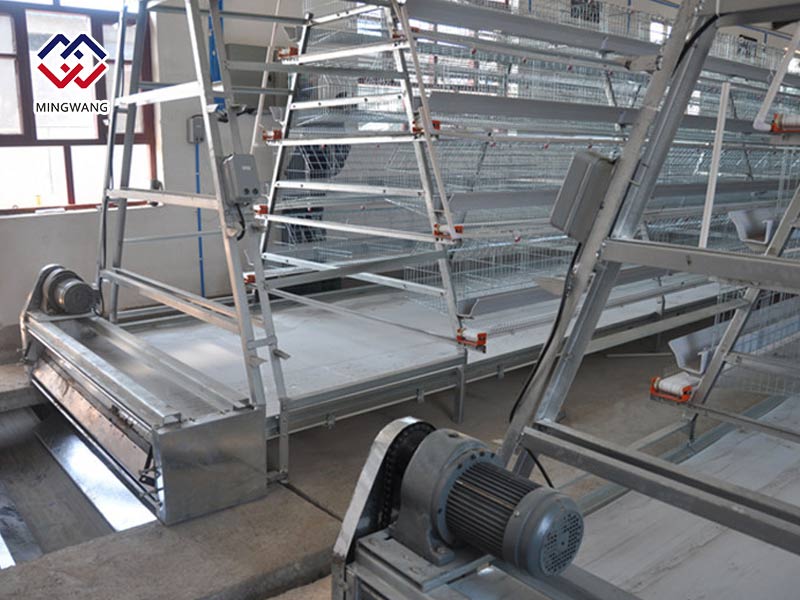 明旺輸送帶式清糞機(jī)簡(jiǎn)介