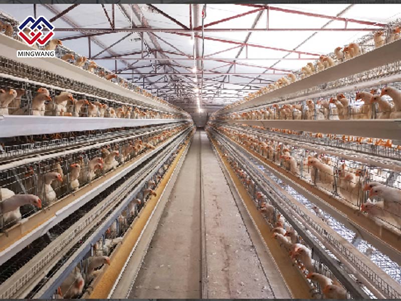 養(yǎng)殖設(shè)備對(duì)溫度的重要性