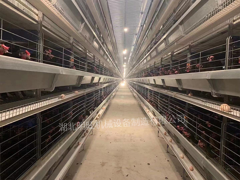 層疊式籠養(yǎng)設備