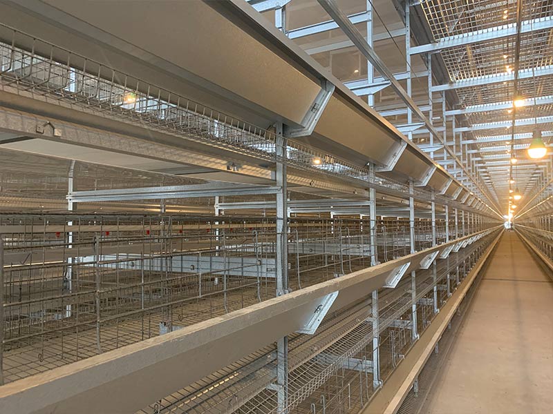 蛋雞設(shè)備日常該如何維護(hù)？明旺來(lái)告訴你